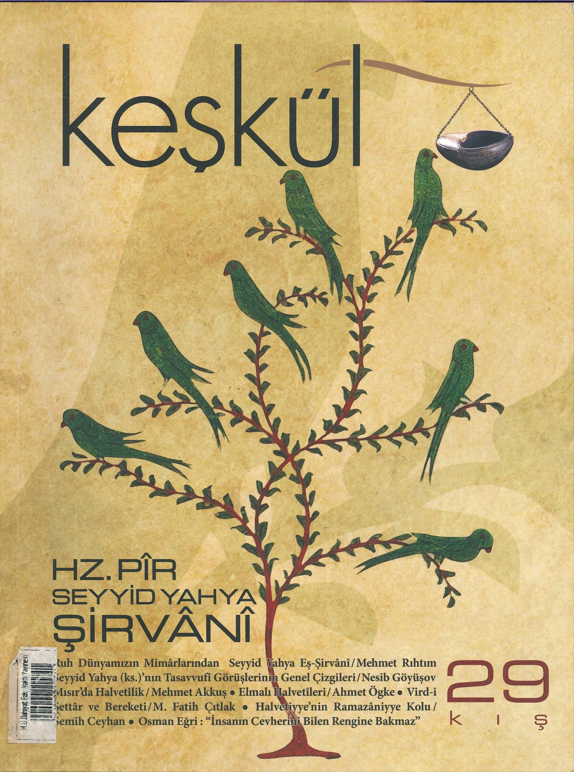 29. Sayı Kapağı