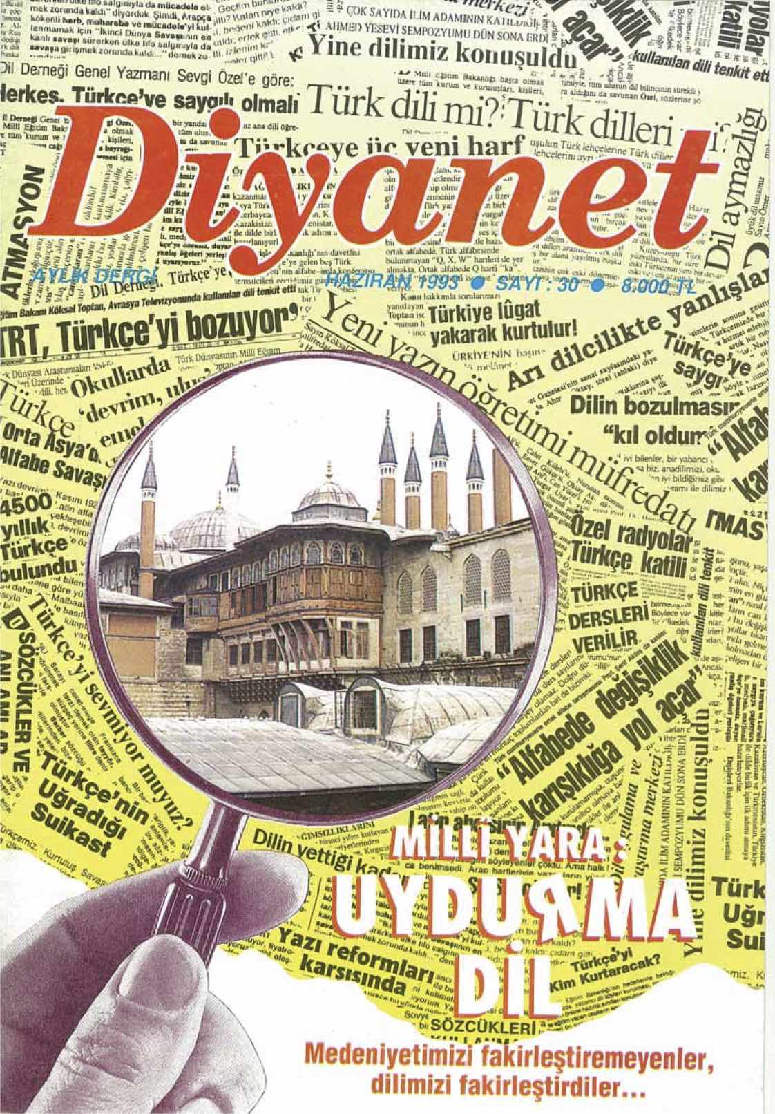 30. Sayı Kapağı