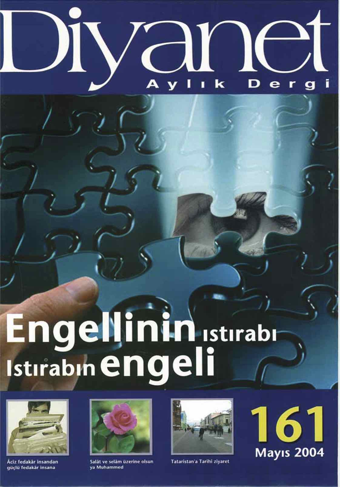 161. Sayı Kapağı