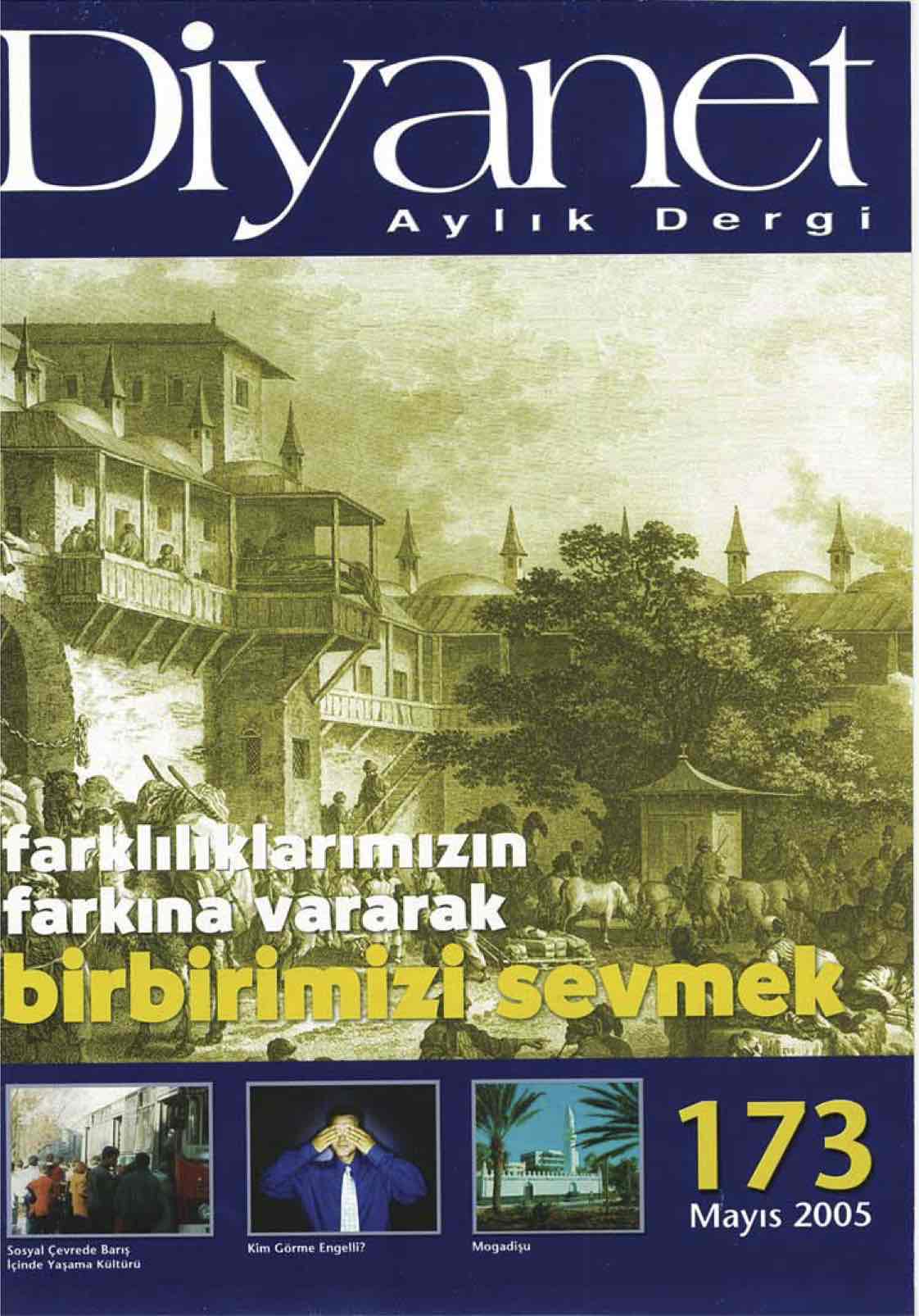 173. Sayı Kapağı