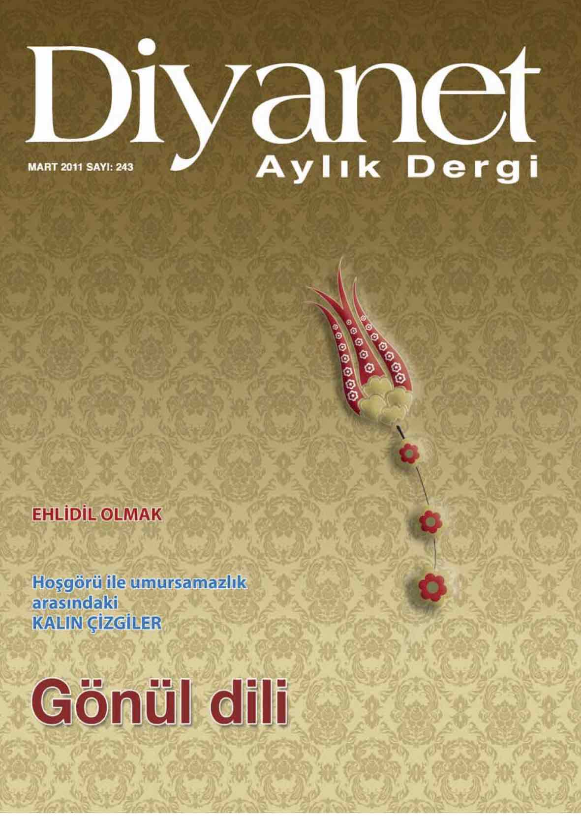 243. Sayı Kapağı