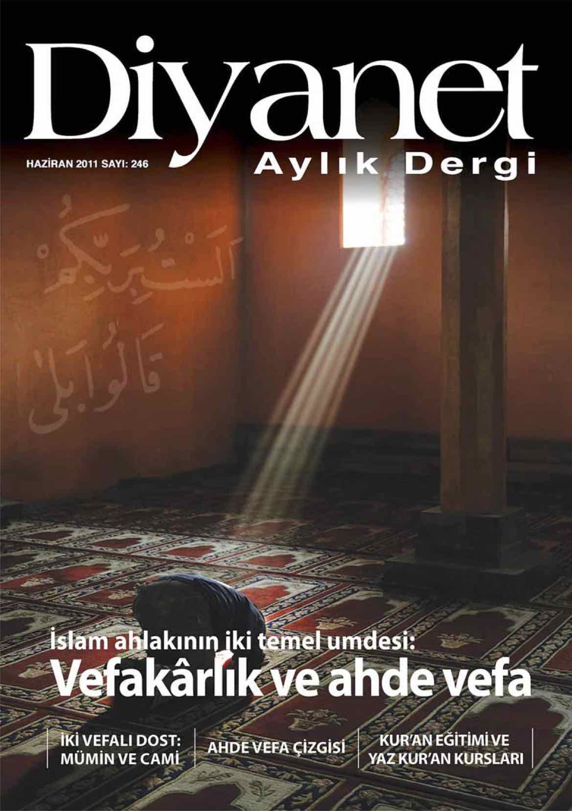 246. Sayı Kapağı