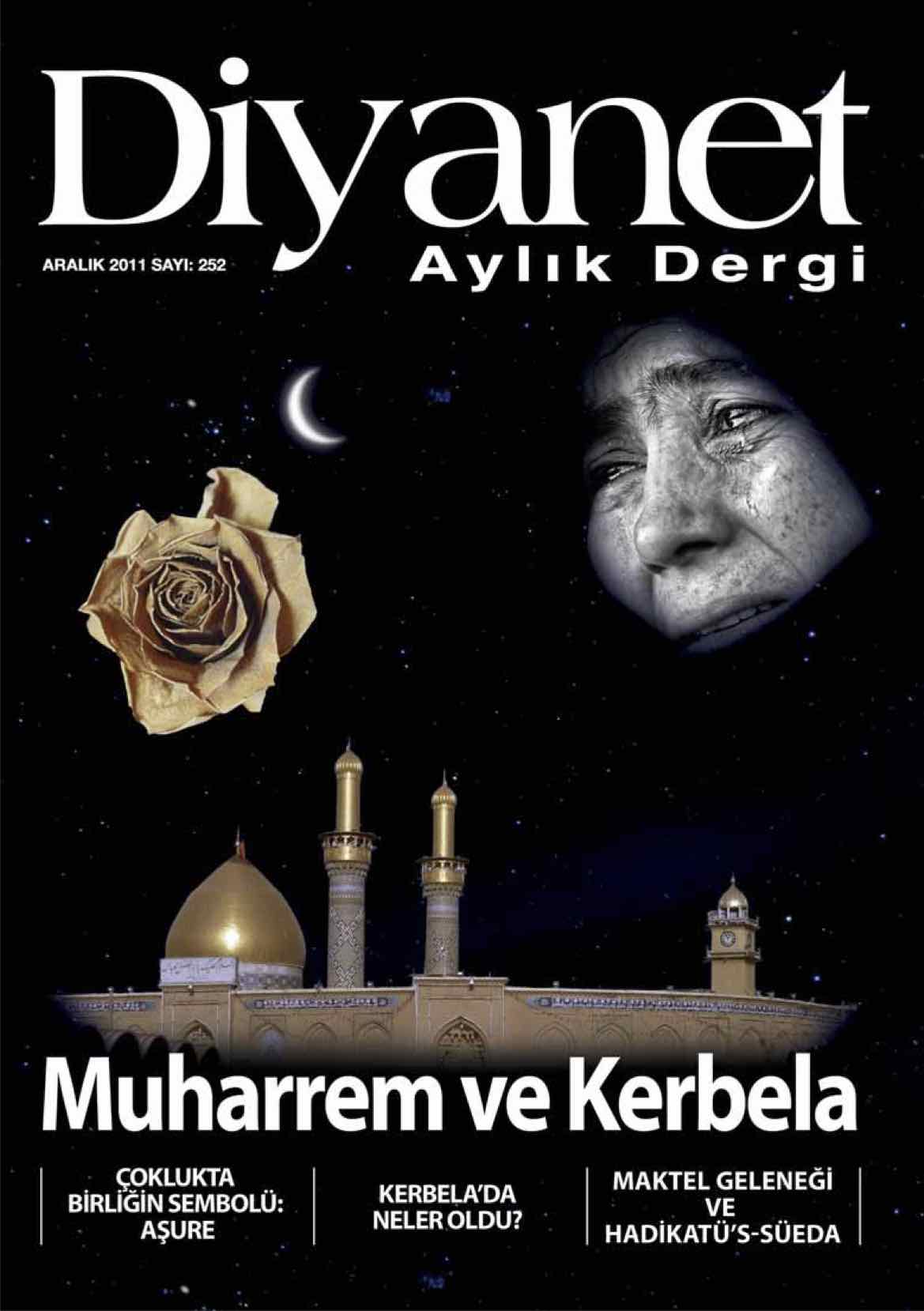 252. Sayı Kapağı
