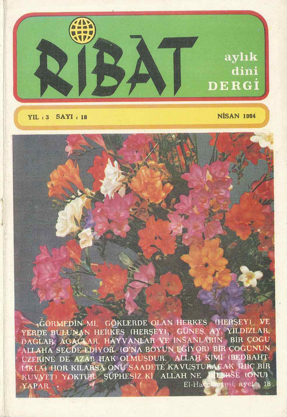 18. Sayı Kapağı