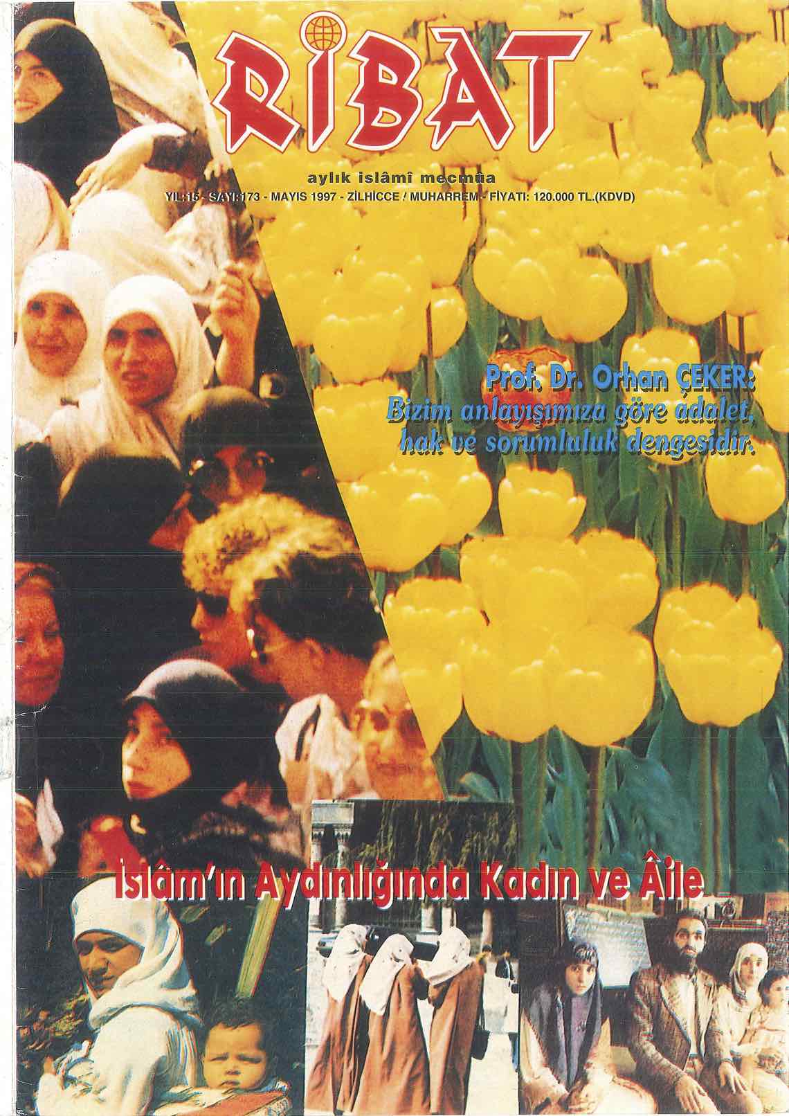 173. Sayı Kapağı
