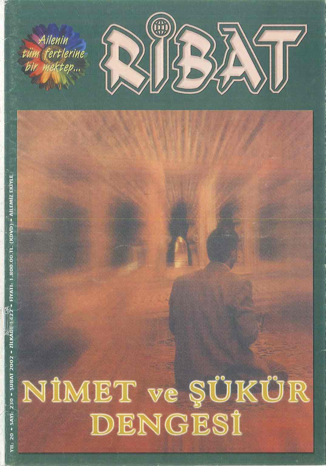 230. Sayı Kapağı
