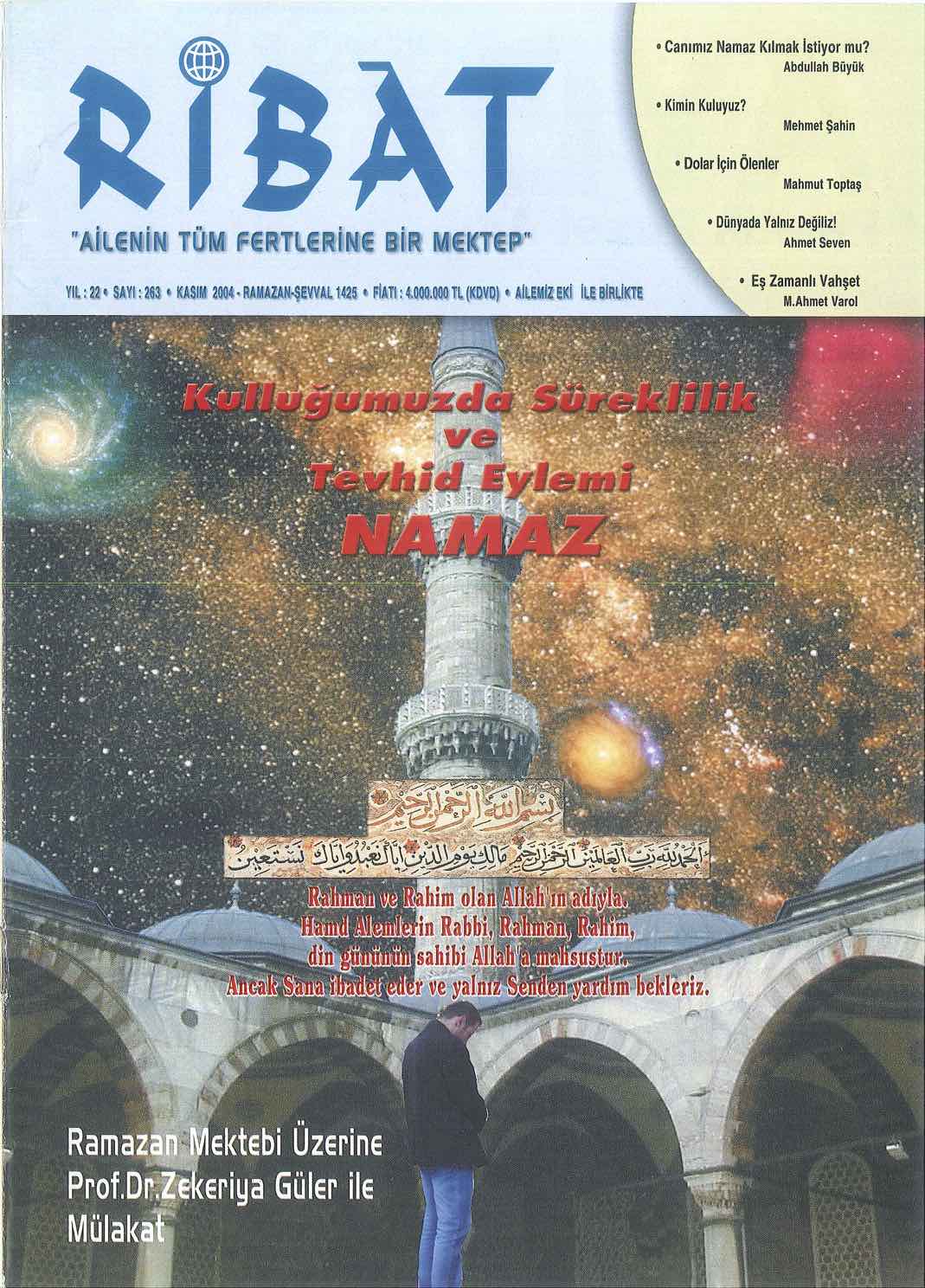 263. Sayı Kapağı