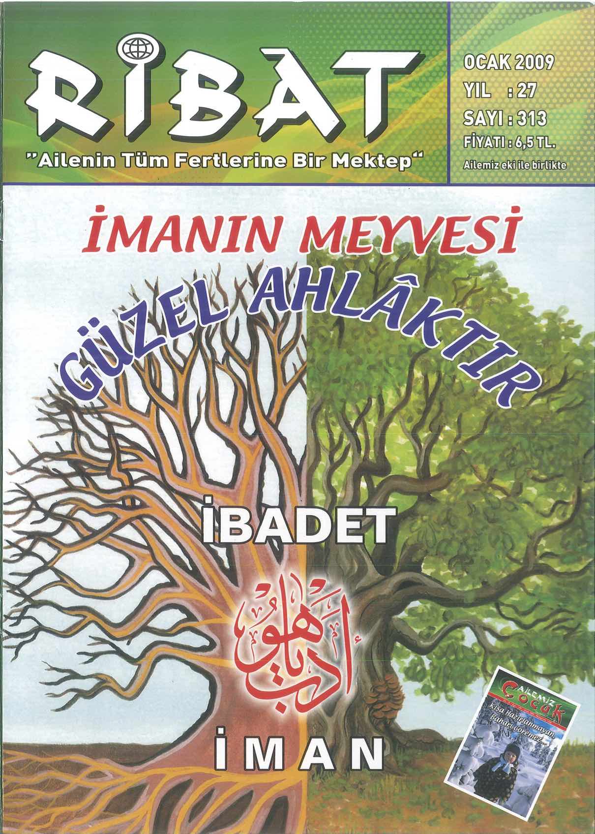313. Sayı Kapağı