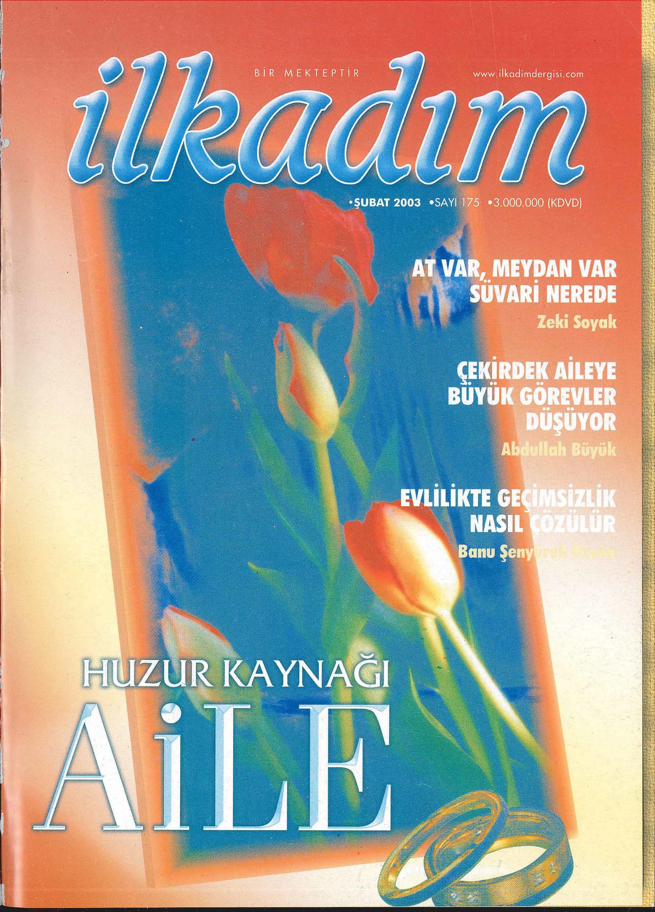 175. Sayı Kapağı