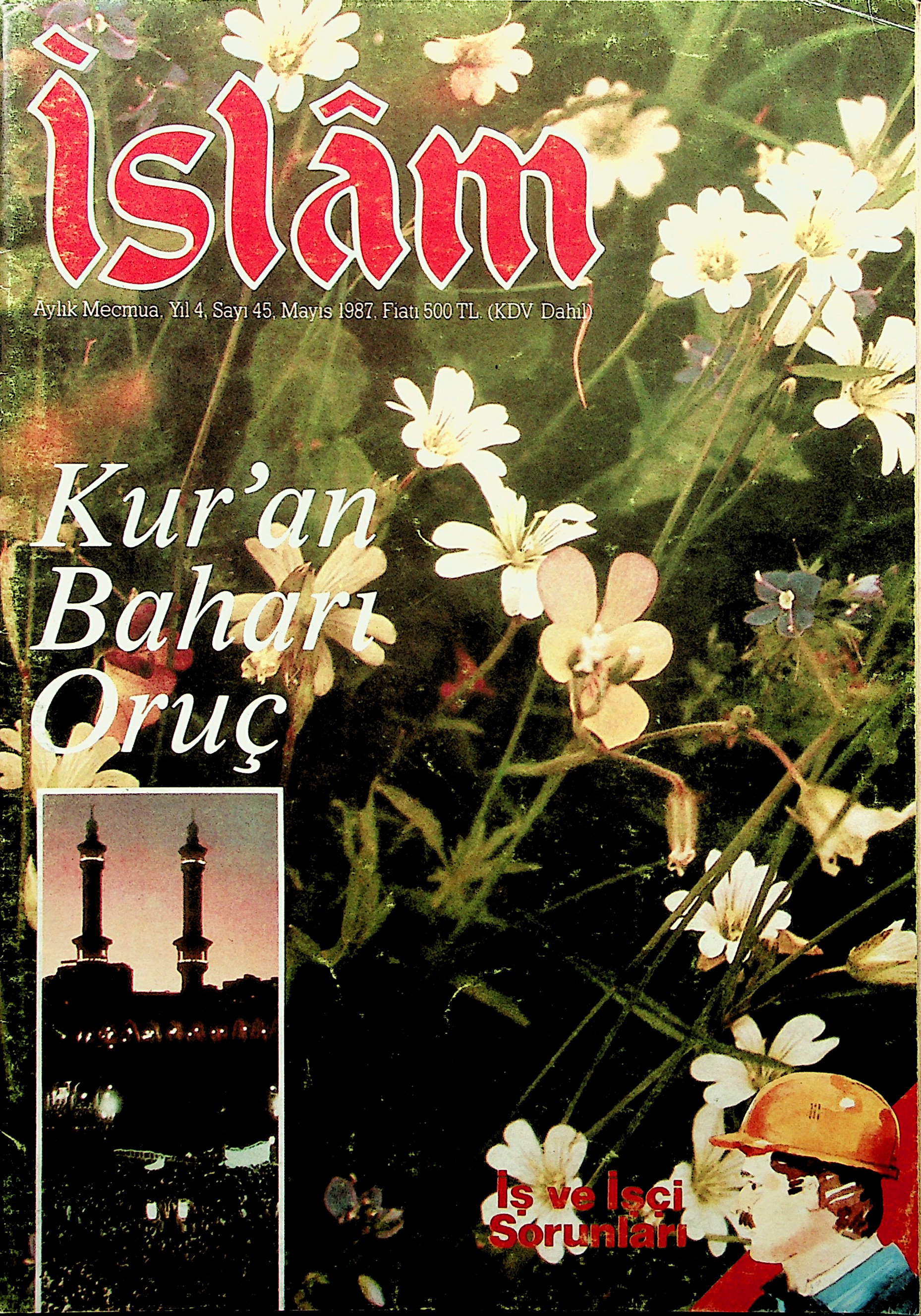 45. Sayı Kapağı
