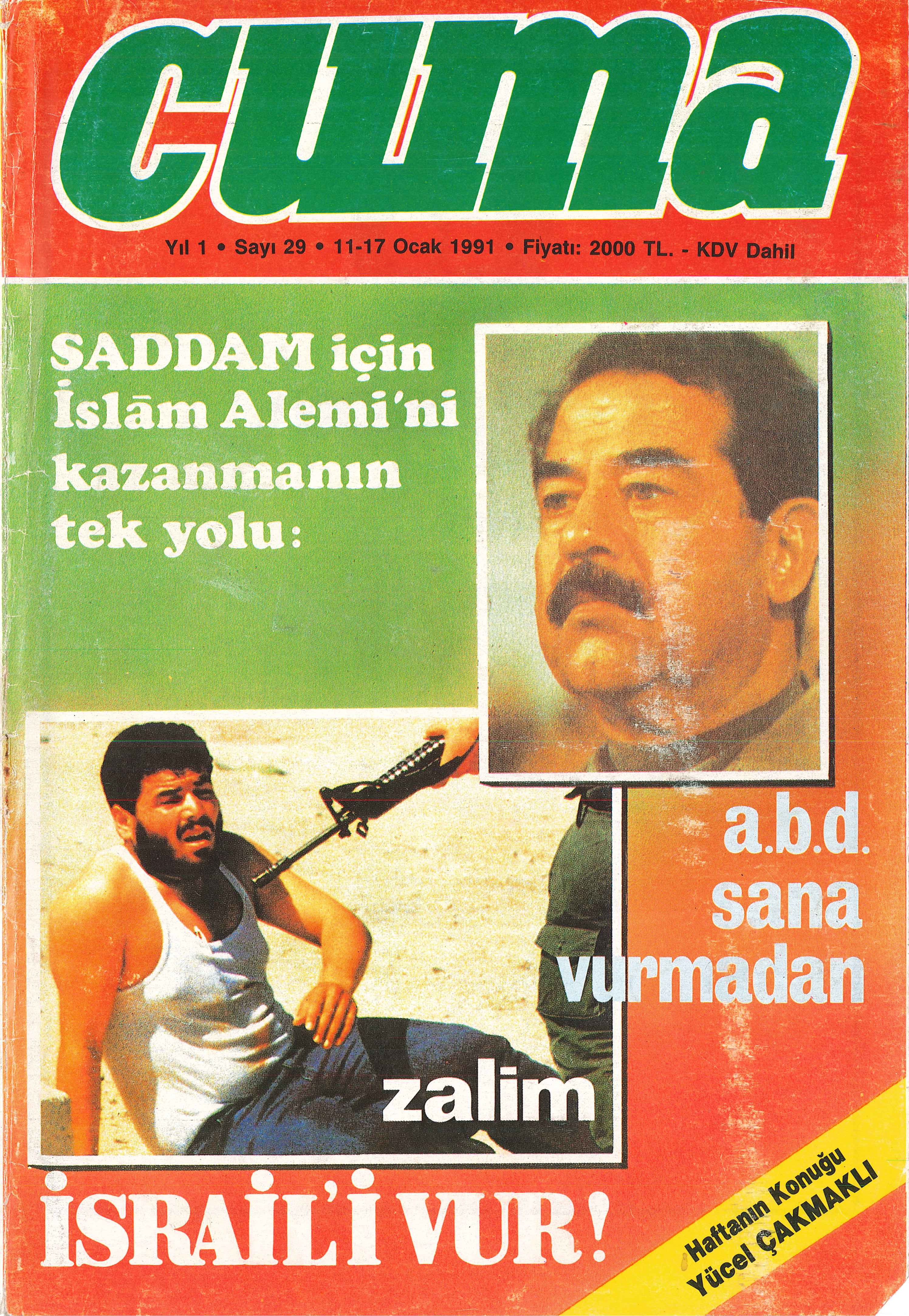 1. Cilt 29. Sayı Kapağı