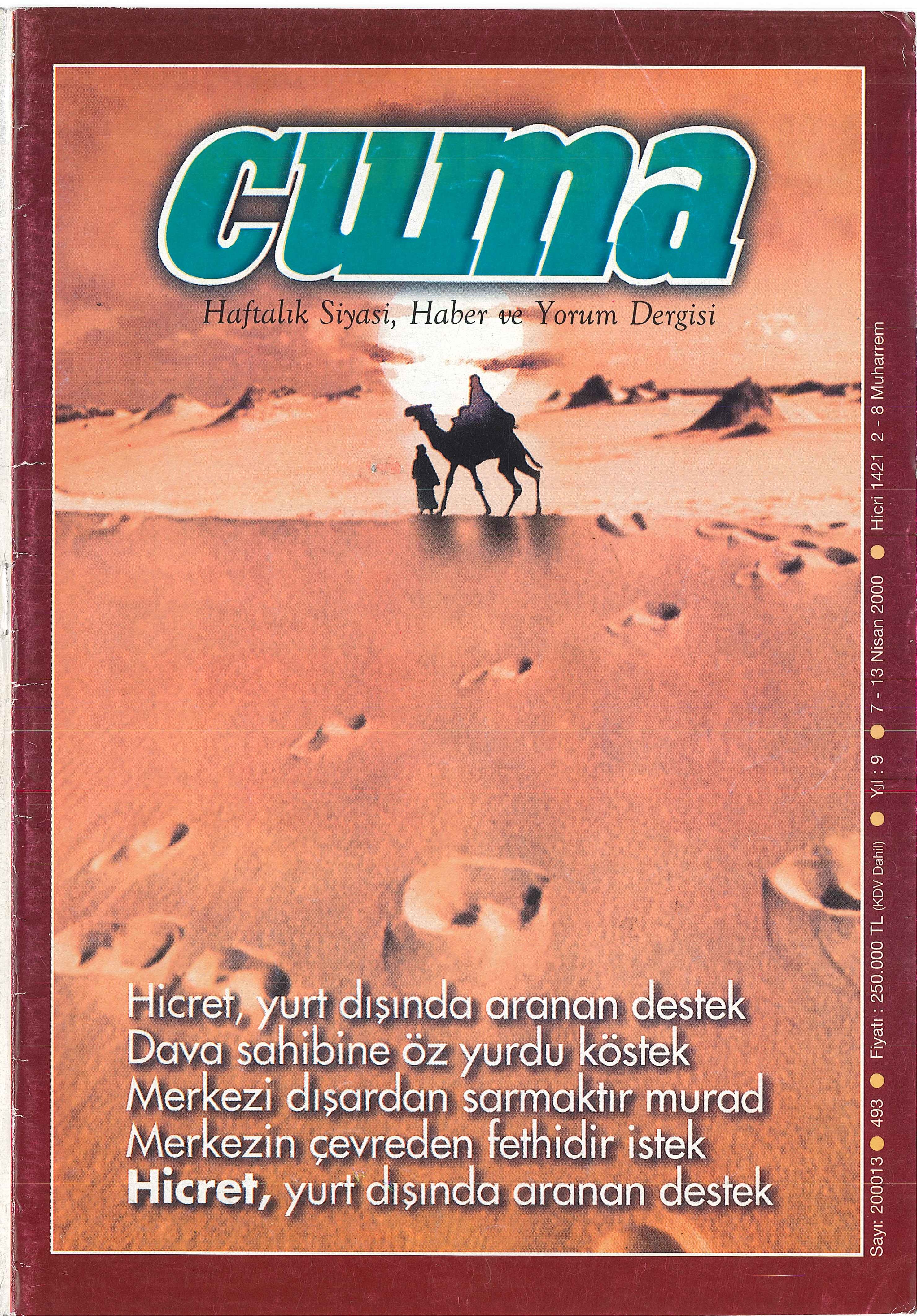 1. Cilt 493. Sayı Kapağı