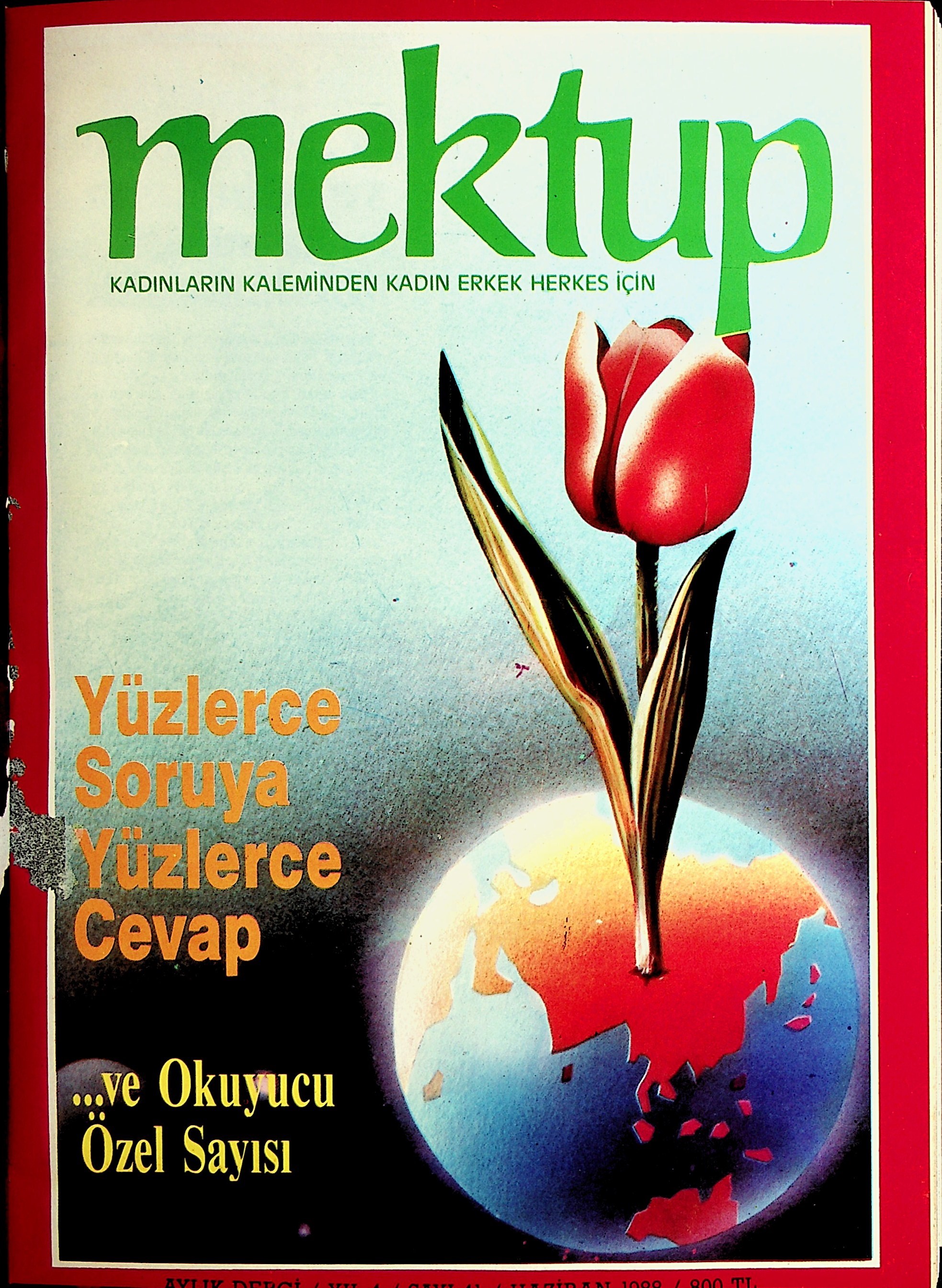 41. Sayı Kapağı