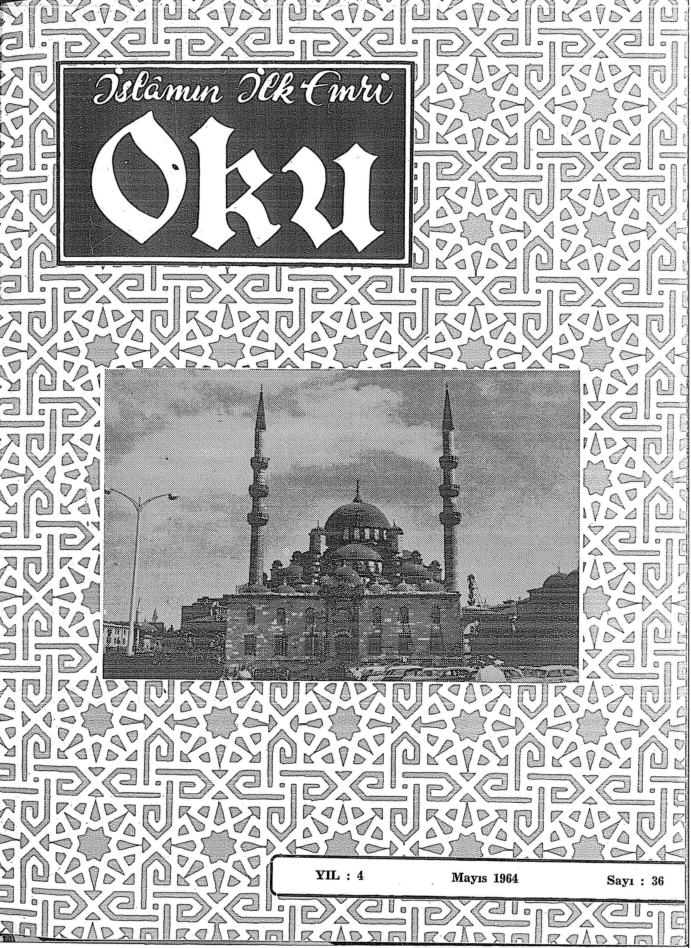 3. Cilt 36. Sayı Kapağı