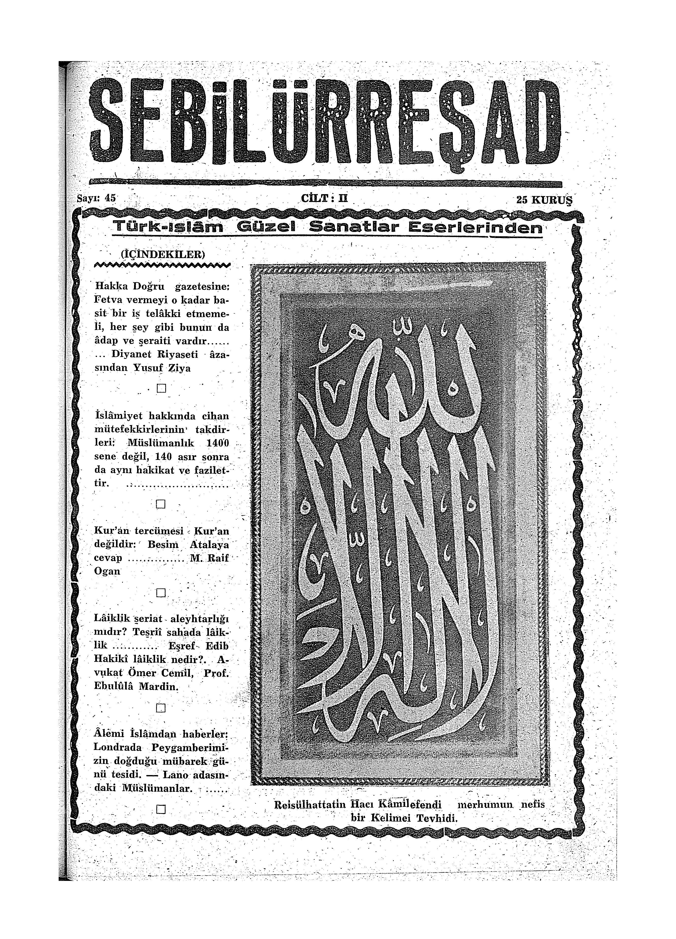 2. Cilt 45. Sayı Kapağı