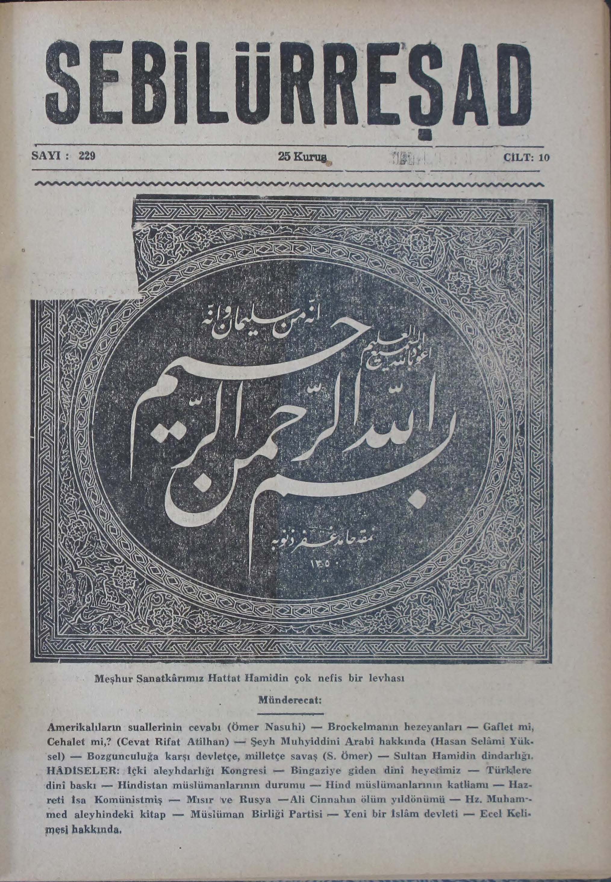 10. Cilt 229. Sayı Kapağı