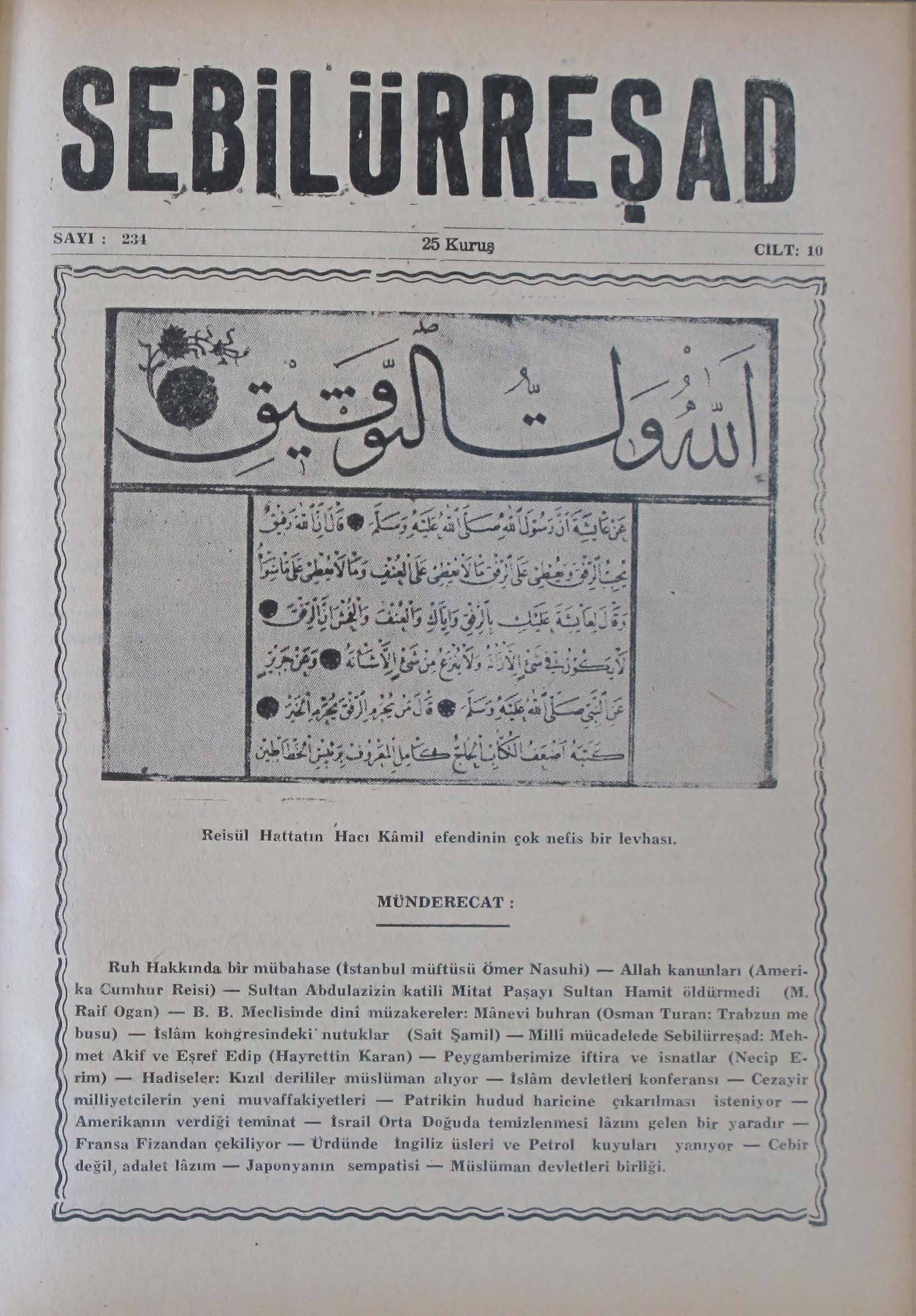 10. Cilt 234. Sayı Kapağı