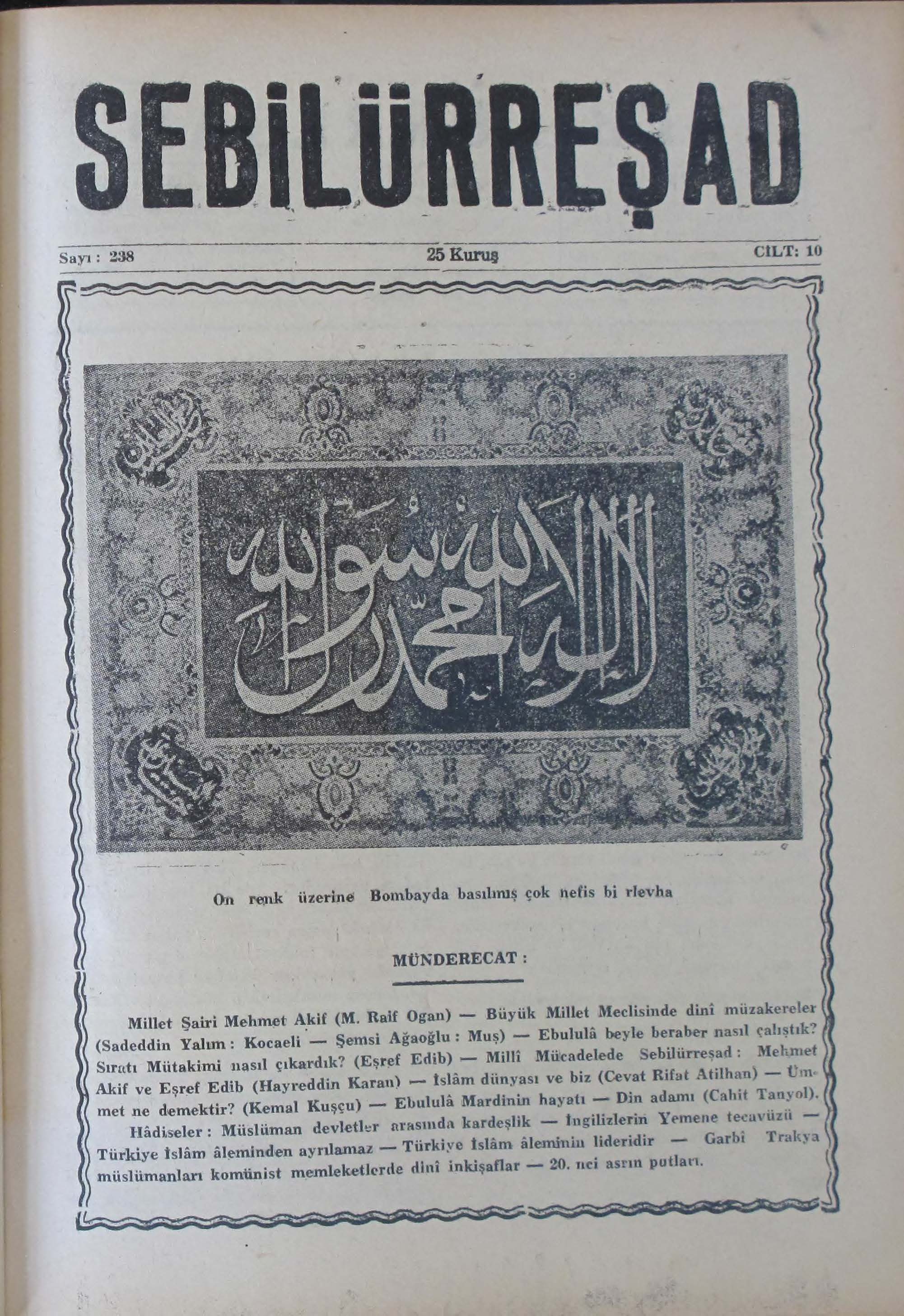 10. Cilt 238. Sayı Kapağı