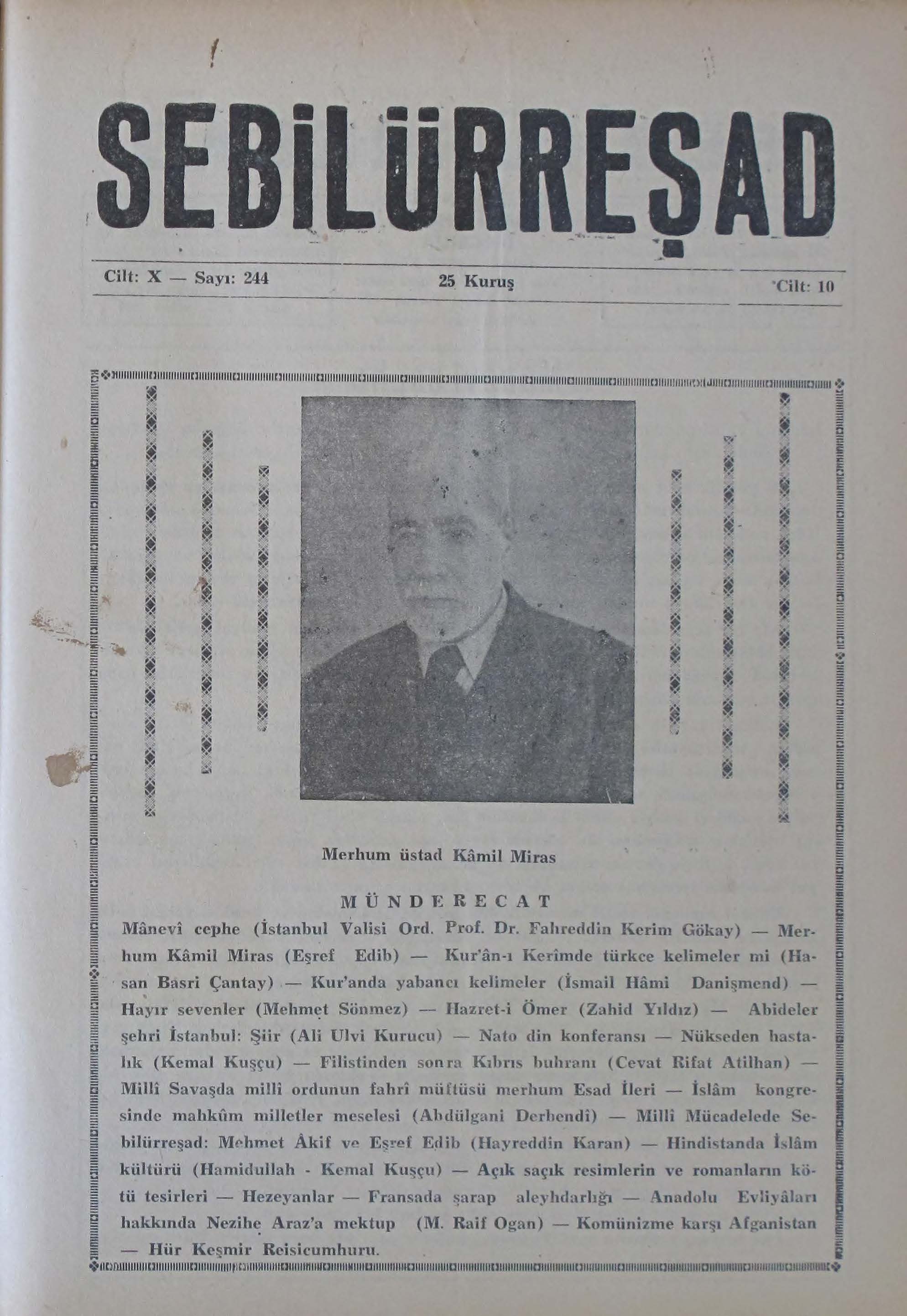 10. Cilt 244. Sayı Kapağı