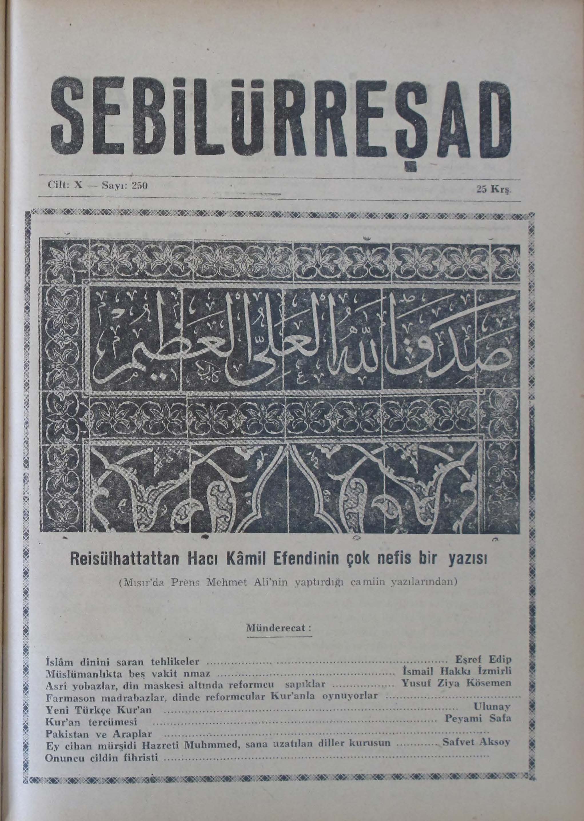 10. Cilt 250. Sayı Kapağı