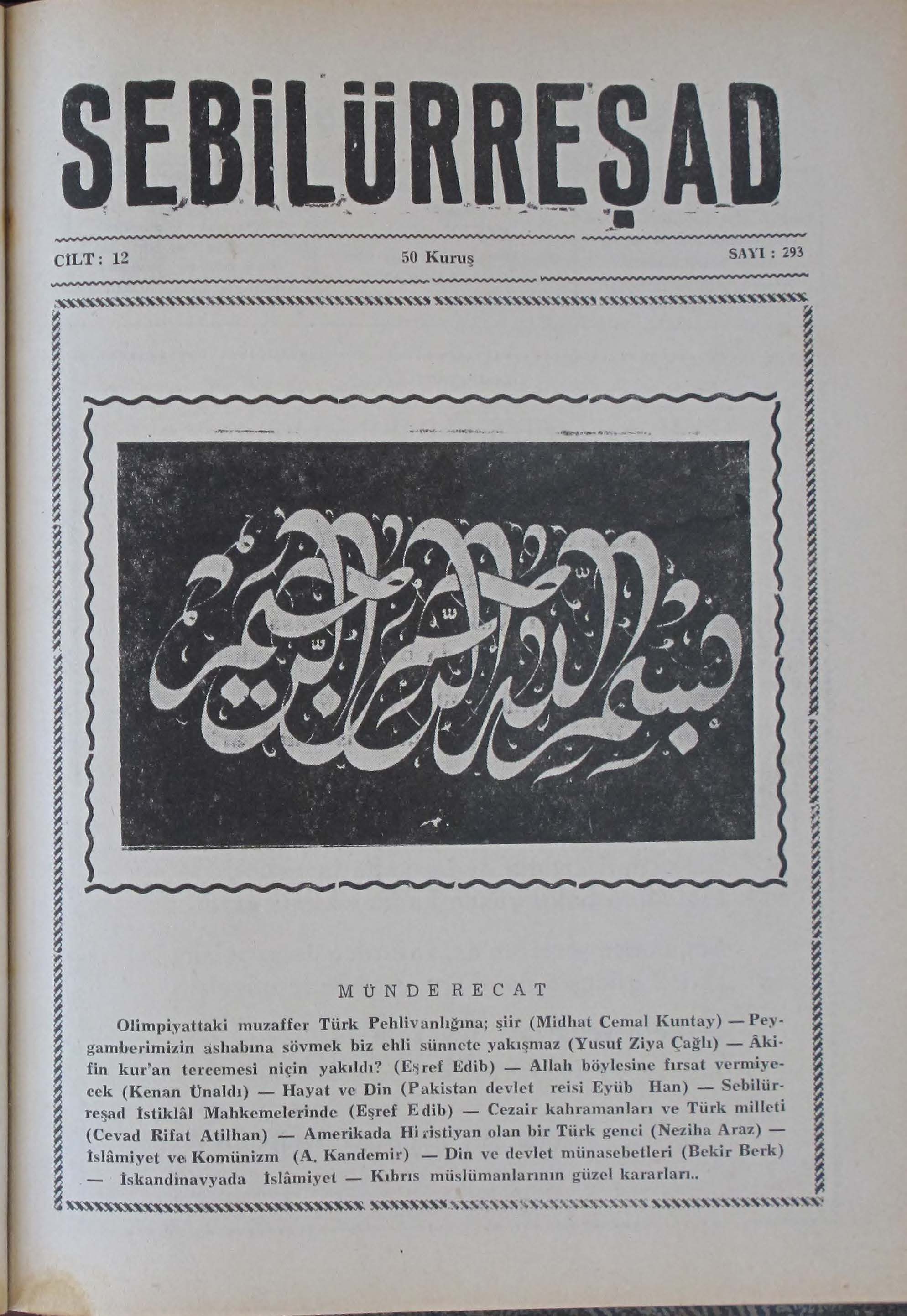 12. Cilt 293. Sayı Kapağı