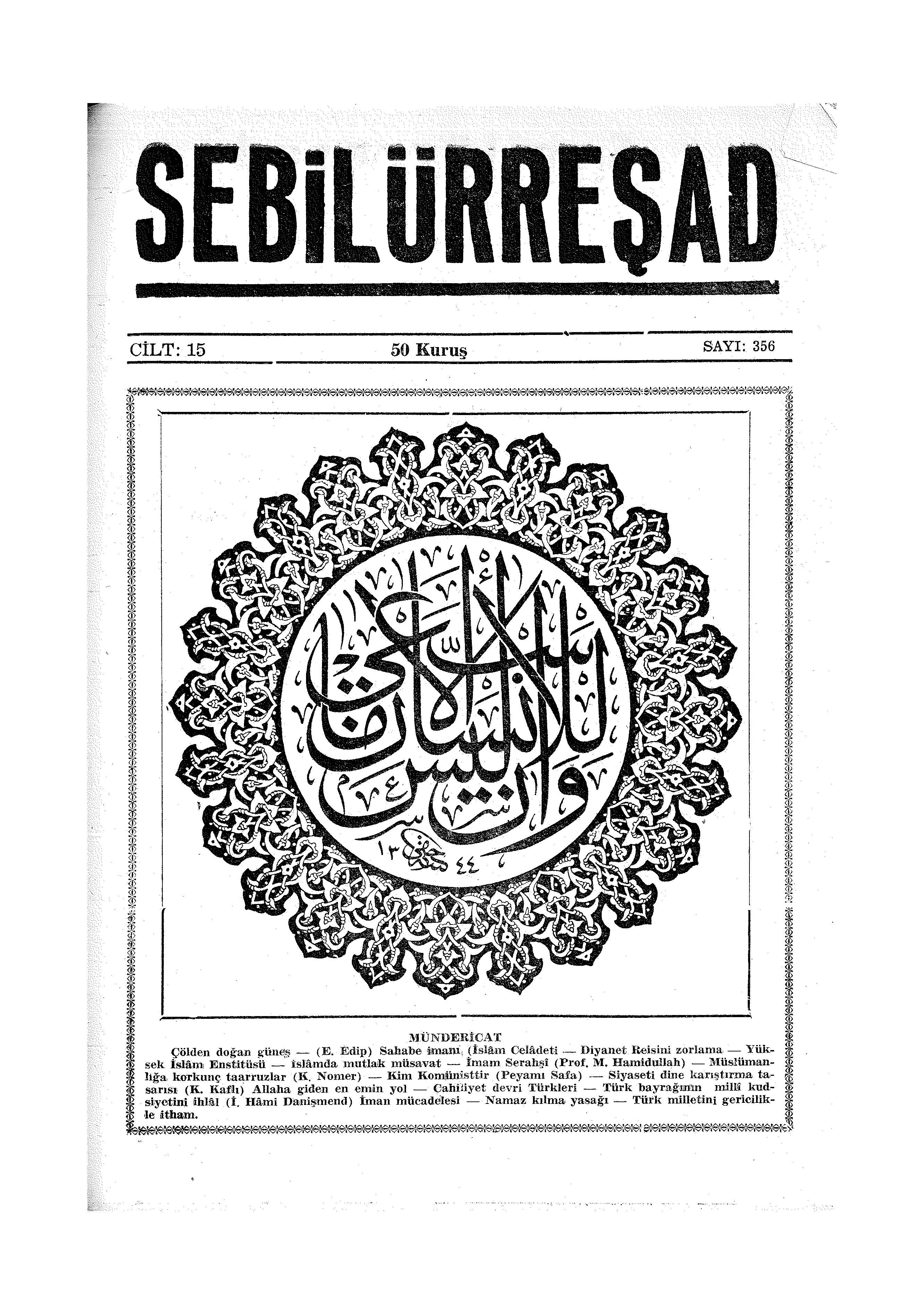 15. Cilt 356. Sayı Kapağı