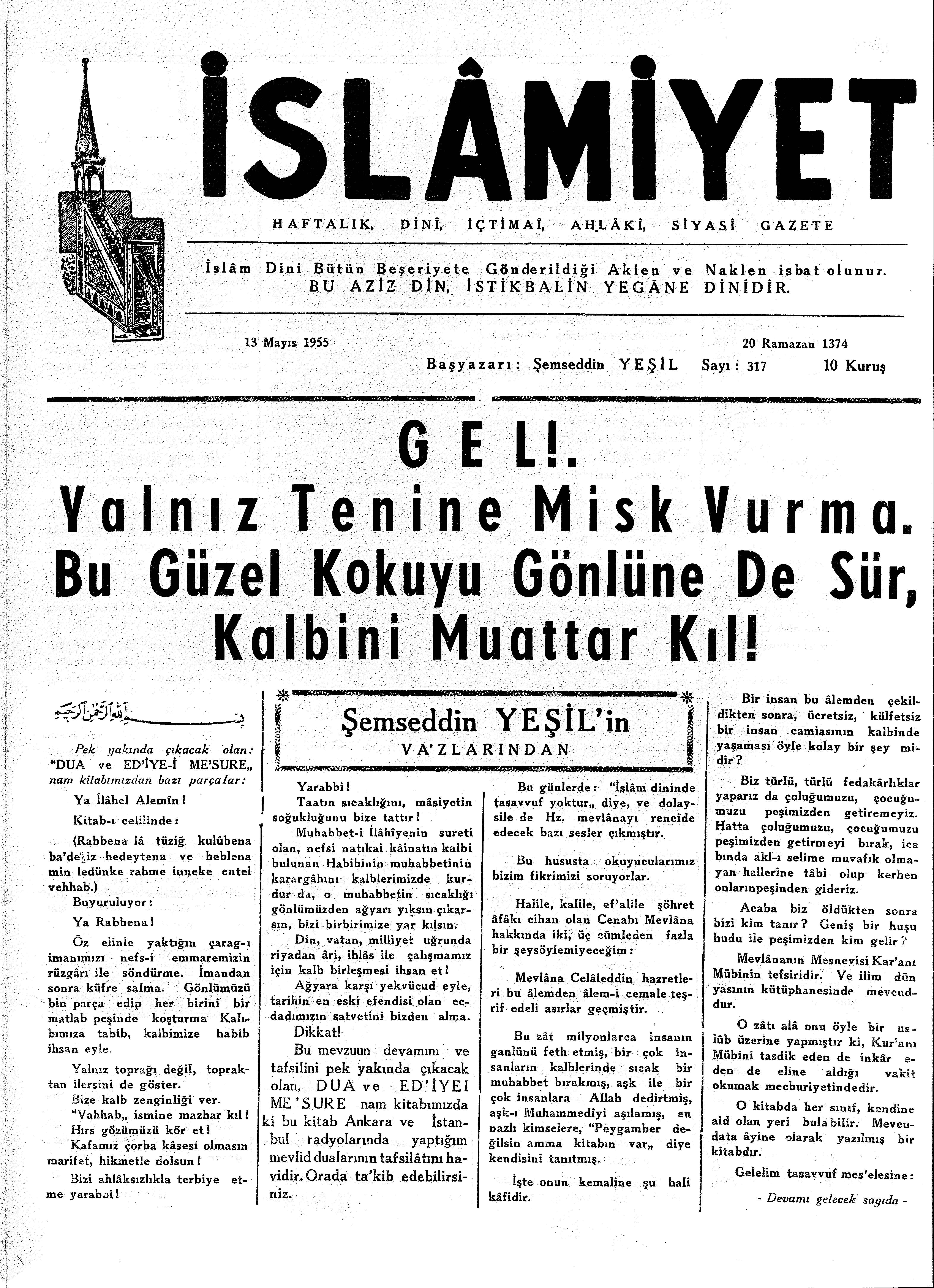 7. Cilt 317. Sayı Kapağı
