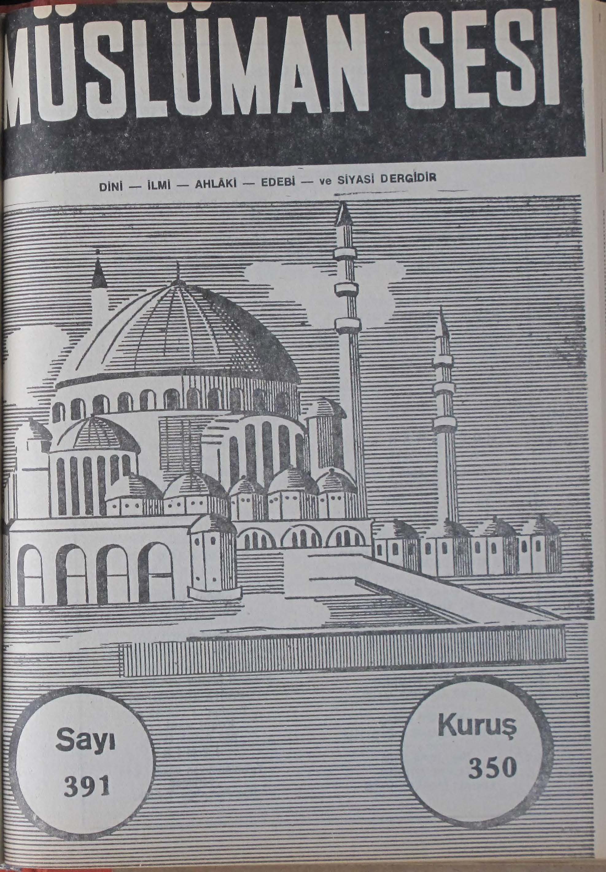 22. Cilt 391. Sayı Kapağı