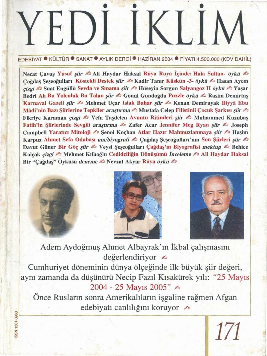 17. Cilt 171. Sayı Kapağı
