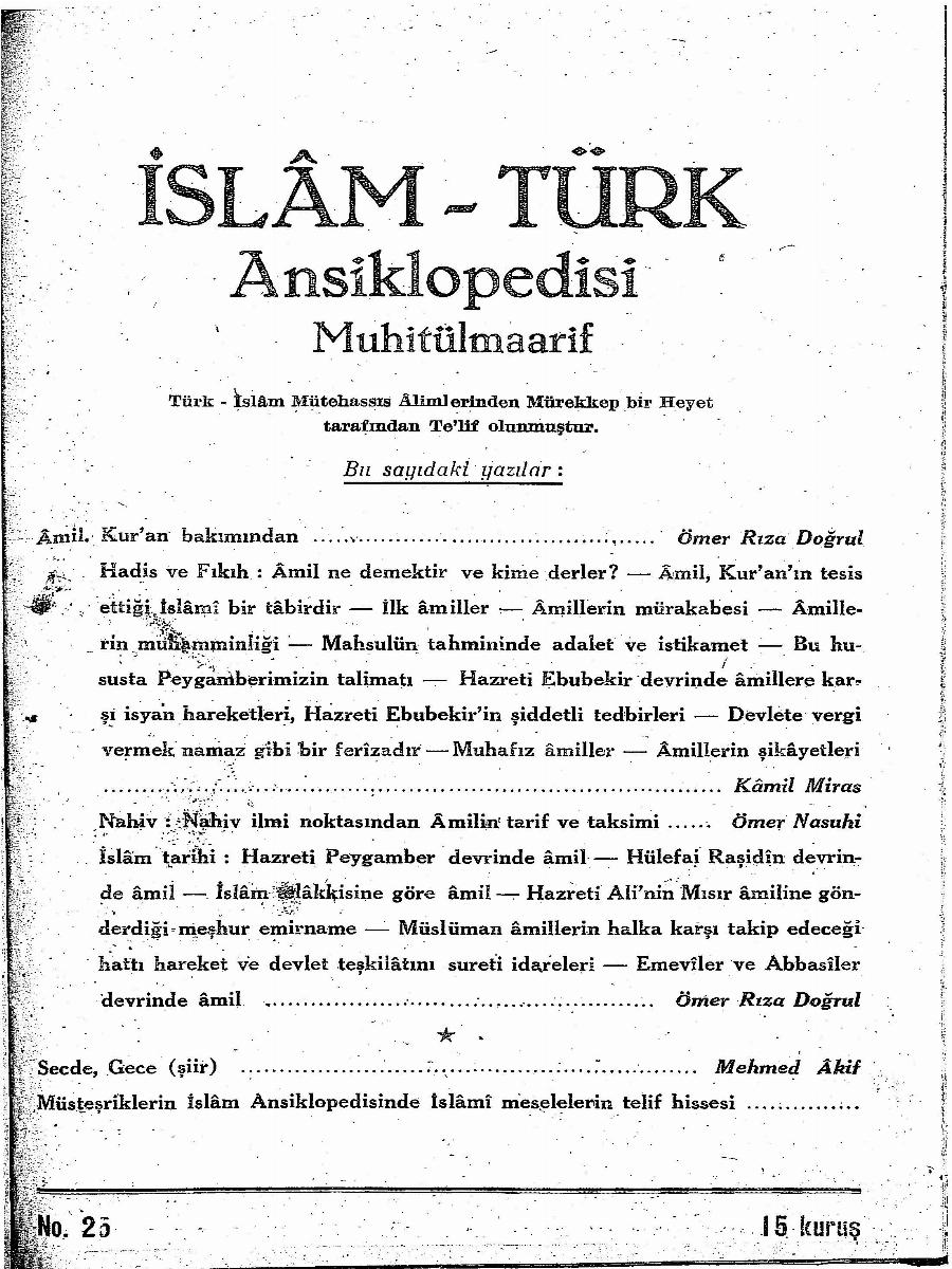 1. Cilt 25. Sayı Kapağı