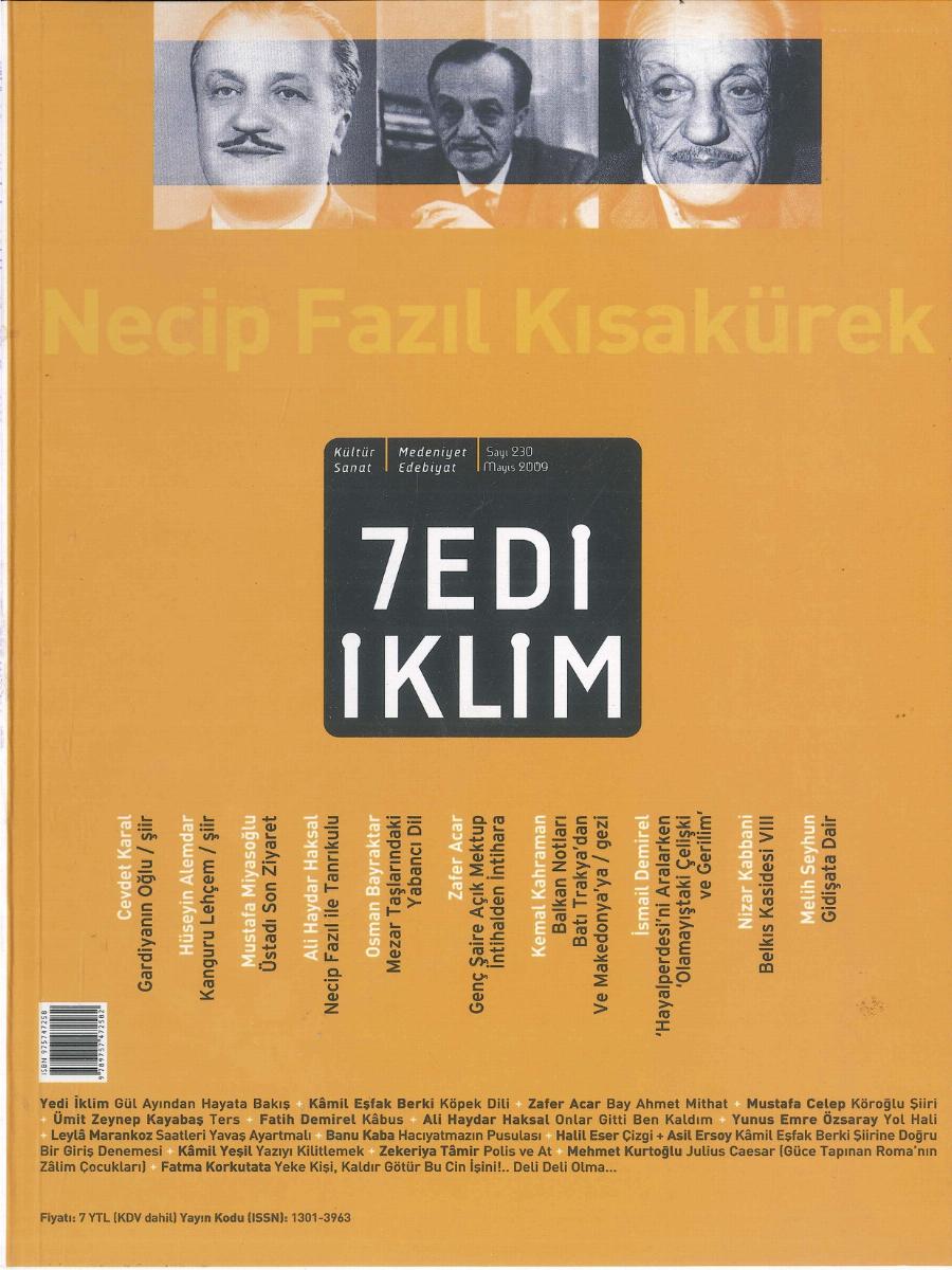 22. Cilt 230. Sayı Kapağı