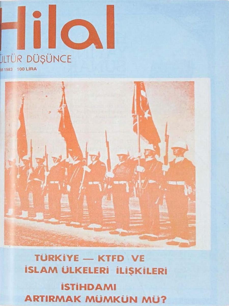 21. Cilt 249. Sayı Kapağı