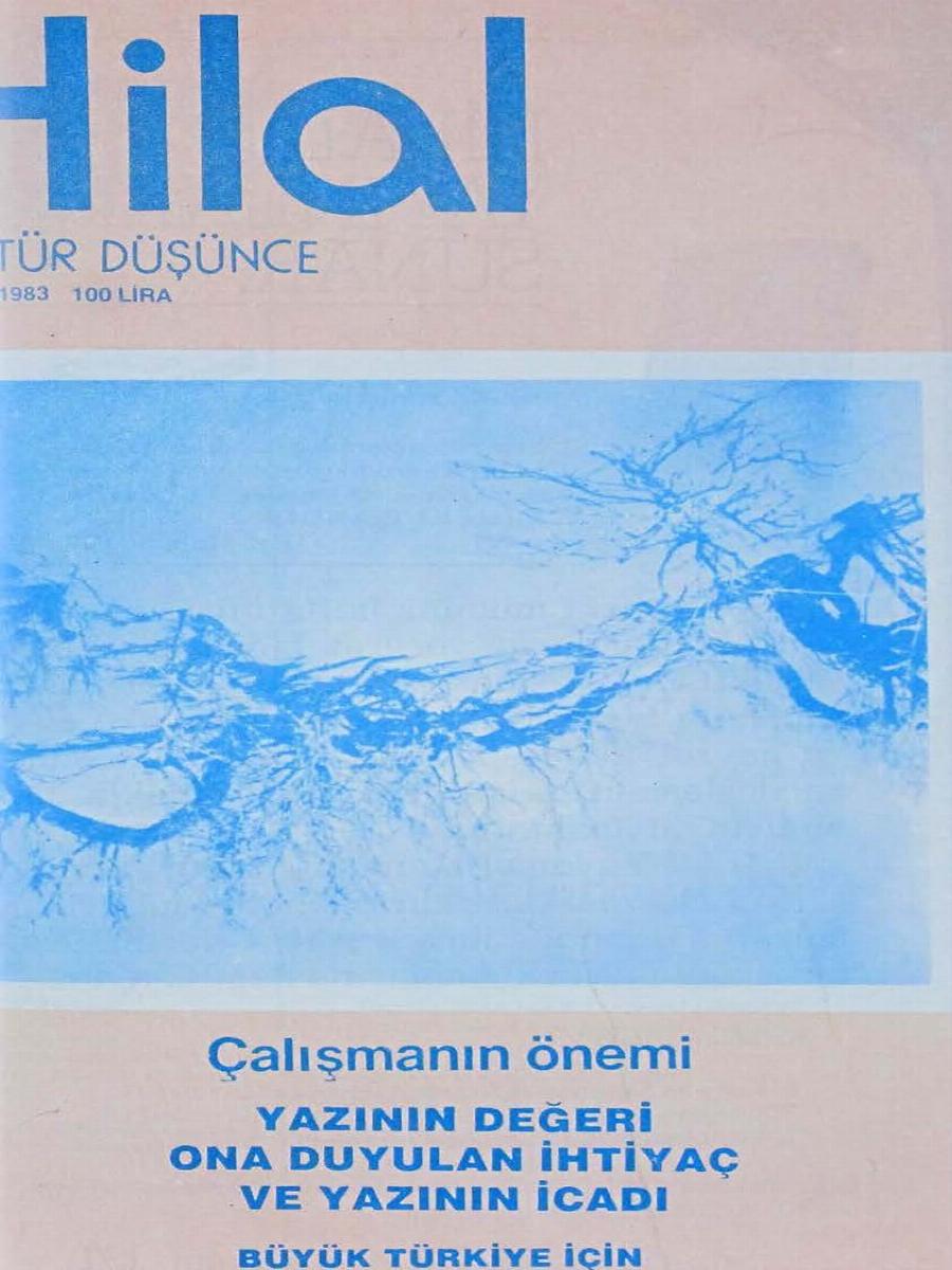 21. Cilt 248. Sayı Kapağı