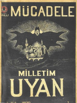 Yeniden Milli Mücadele Kapak